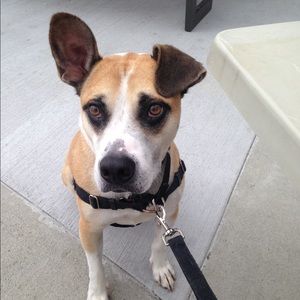 Meet your Posher, Beth